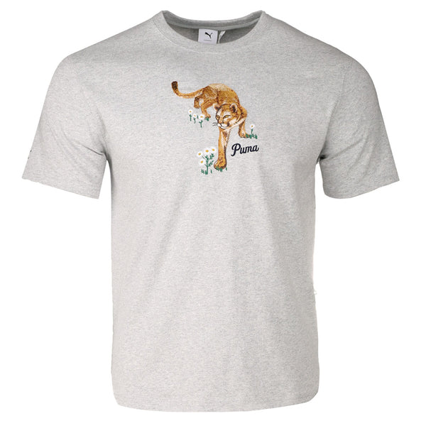 Shop Grey Mens Noah Graphic Crew Neck Short Sleeve T-Shirt – Shoebacca