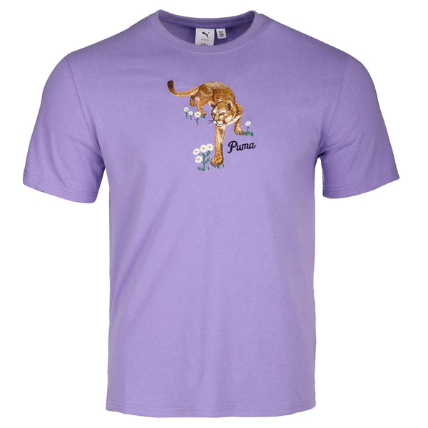 62657129_1l_grande.jpg?v=