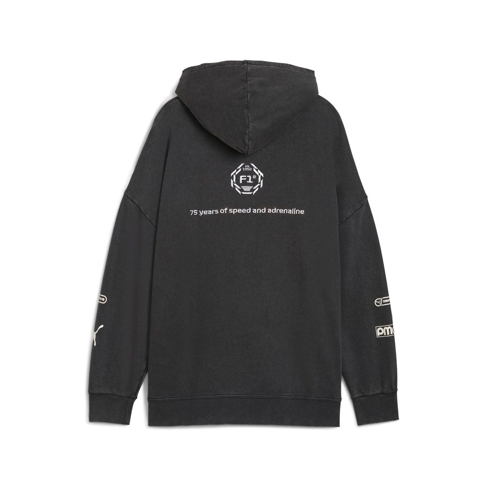 Shop Black Mens F1 Graphic Pullover Hoodie – Shoebacca