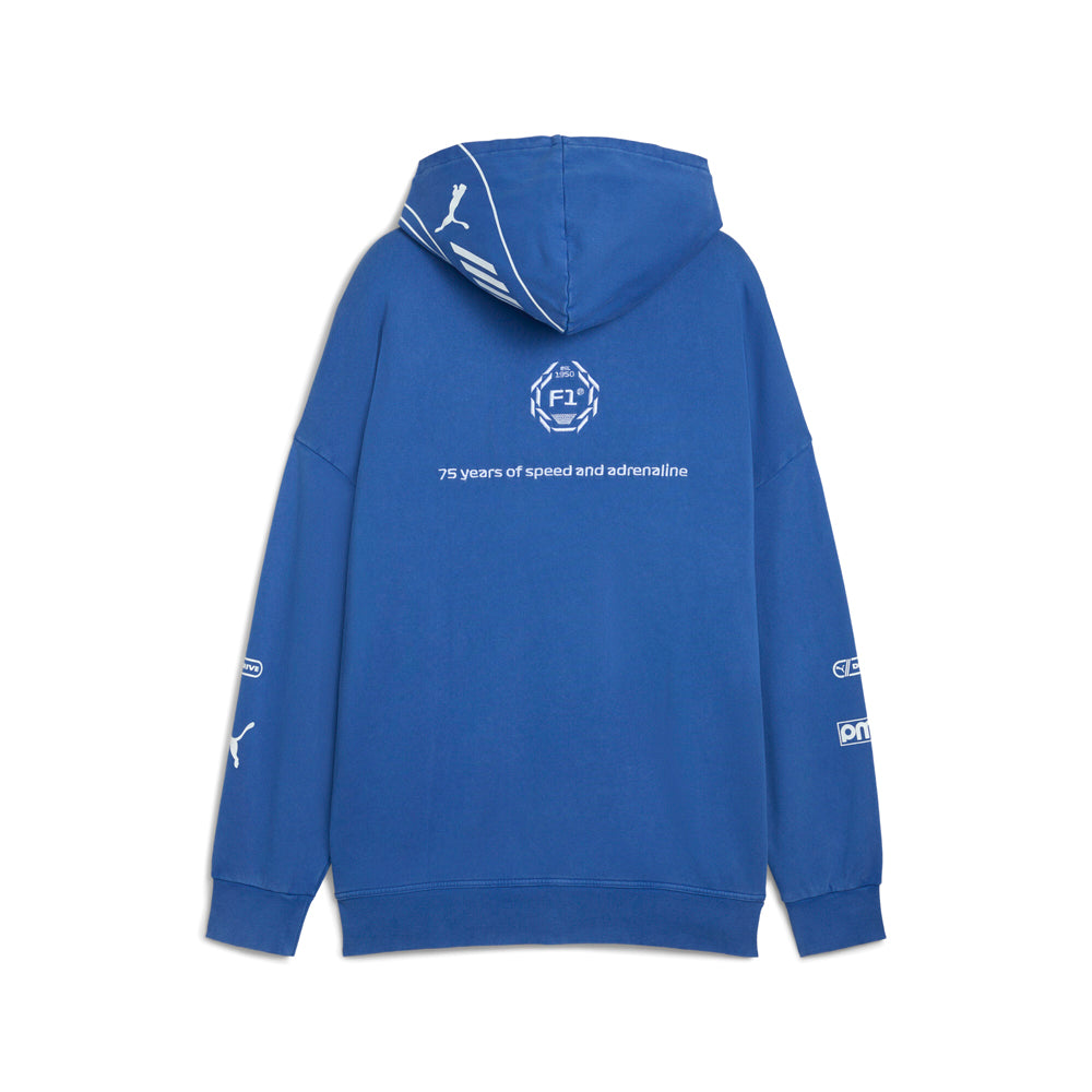 Shop Blue Mens F1 Graphic Pullover Hoodie – Shoebacca